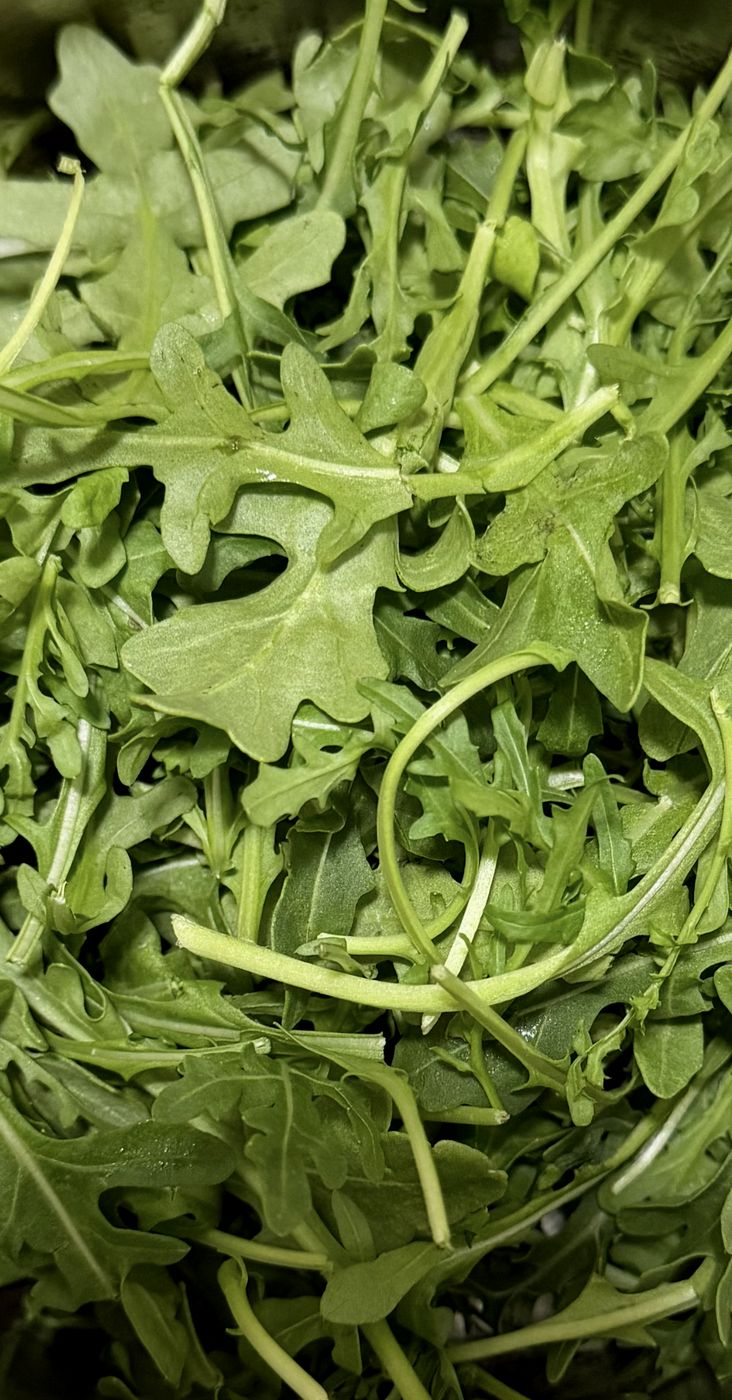 A heap of fresh arugula leaves