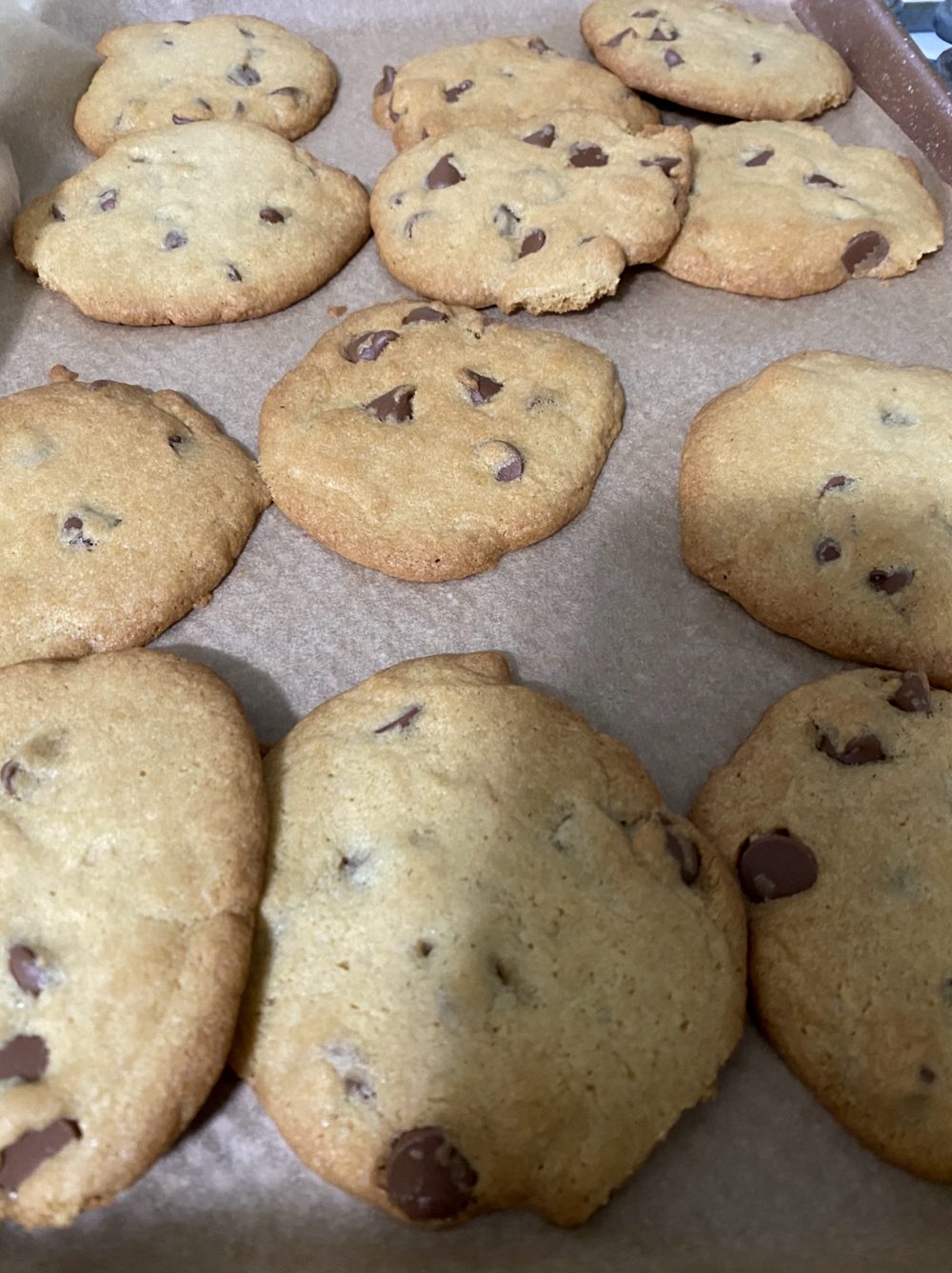 Chocolate chip cookies cooling on parchment